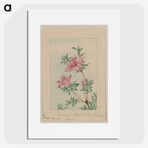 1-41_Megata-Morikaga_picture