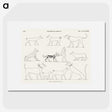 1-41_Monuments-of-Egypt-and-Nubia_picture