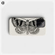 1-41_Moths-and-Butterflies-of-the-United-States_phone