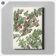 1-41_Native-Flowering-Plants-of-New-Zealand_canvas