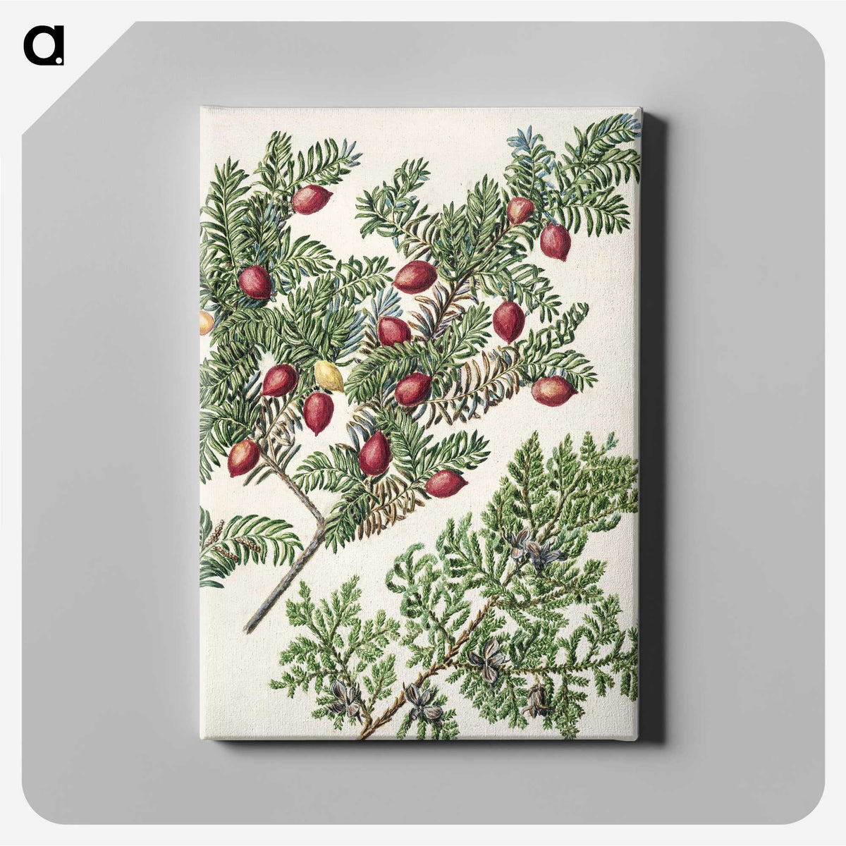 1-41_Native-Flowering-Plants-of-New-Zealand_canvas