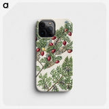 1-41_Native-Flowering-Plants-of-New-Zealand_phone