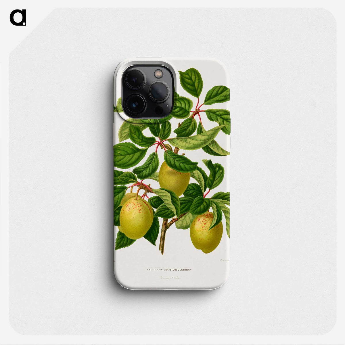 1-41_Nederlandsche-Flora-en-Pomona_phone