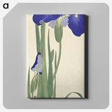 1-41_Ohara-Koson_canvas