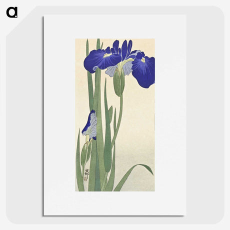 1-41_Ohara-Koson_picture