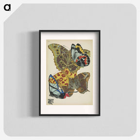 アートポスター-Vintage Butterflies
 - パピヨン Poster.