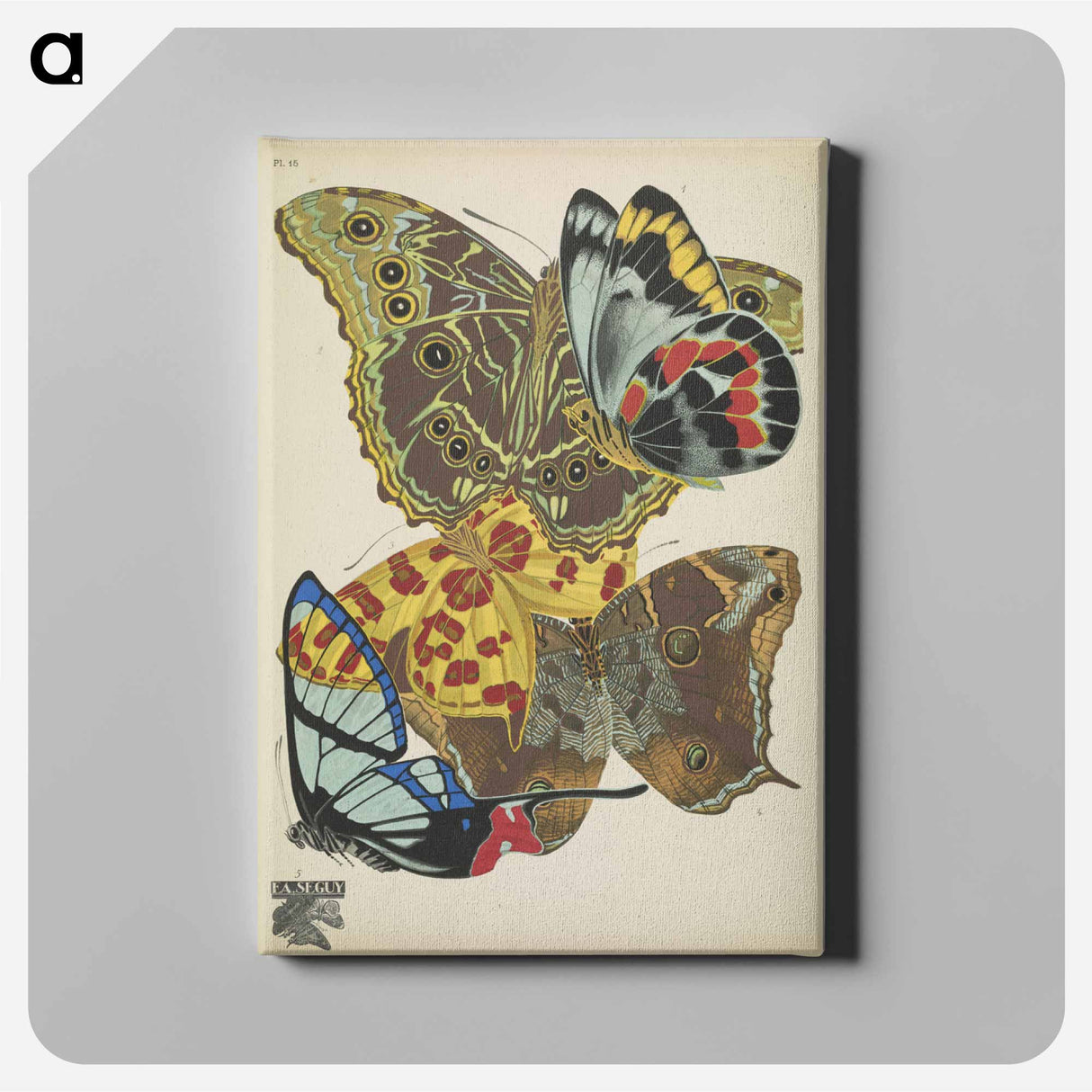 アートパネル-Vintage Butterflies
 - パピヨン Canvas.