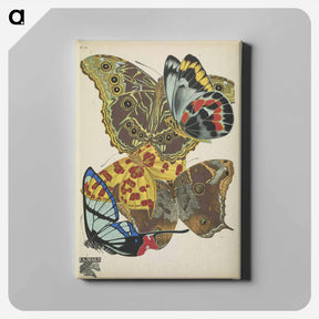 アートパネル-Vintage Butterflies
 - パピヨン Canvas.
