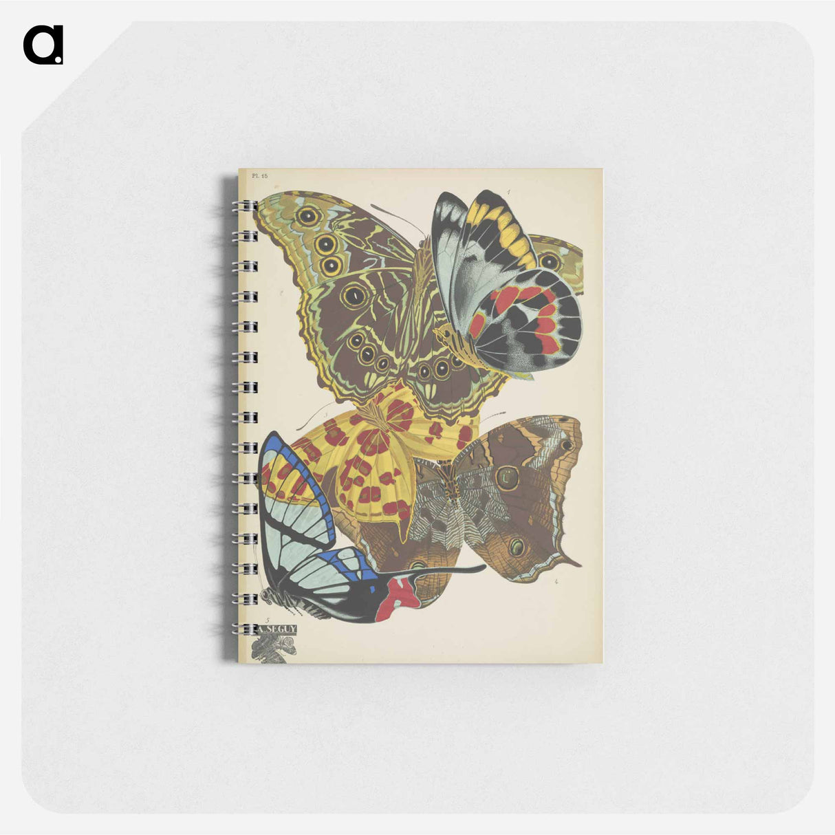 アートメモ帳-Vintage Butterflies
 - パピヨン Memo.