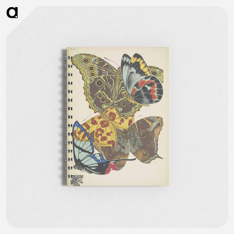 アートメモ帳-Vintage Butterflies
 - パピヨン Memo.