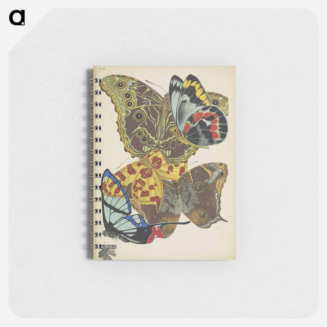 アートメモ帳-Vintage Butterflies
 - パピヨン Memo.