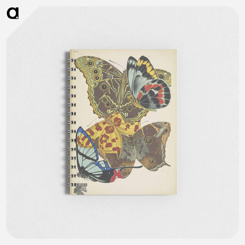 Vintage Butterflies
 - パピヨン Memo.