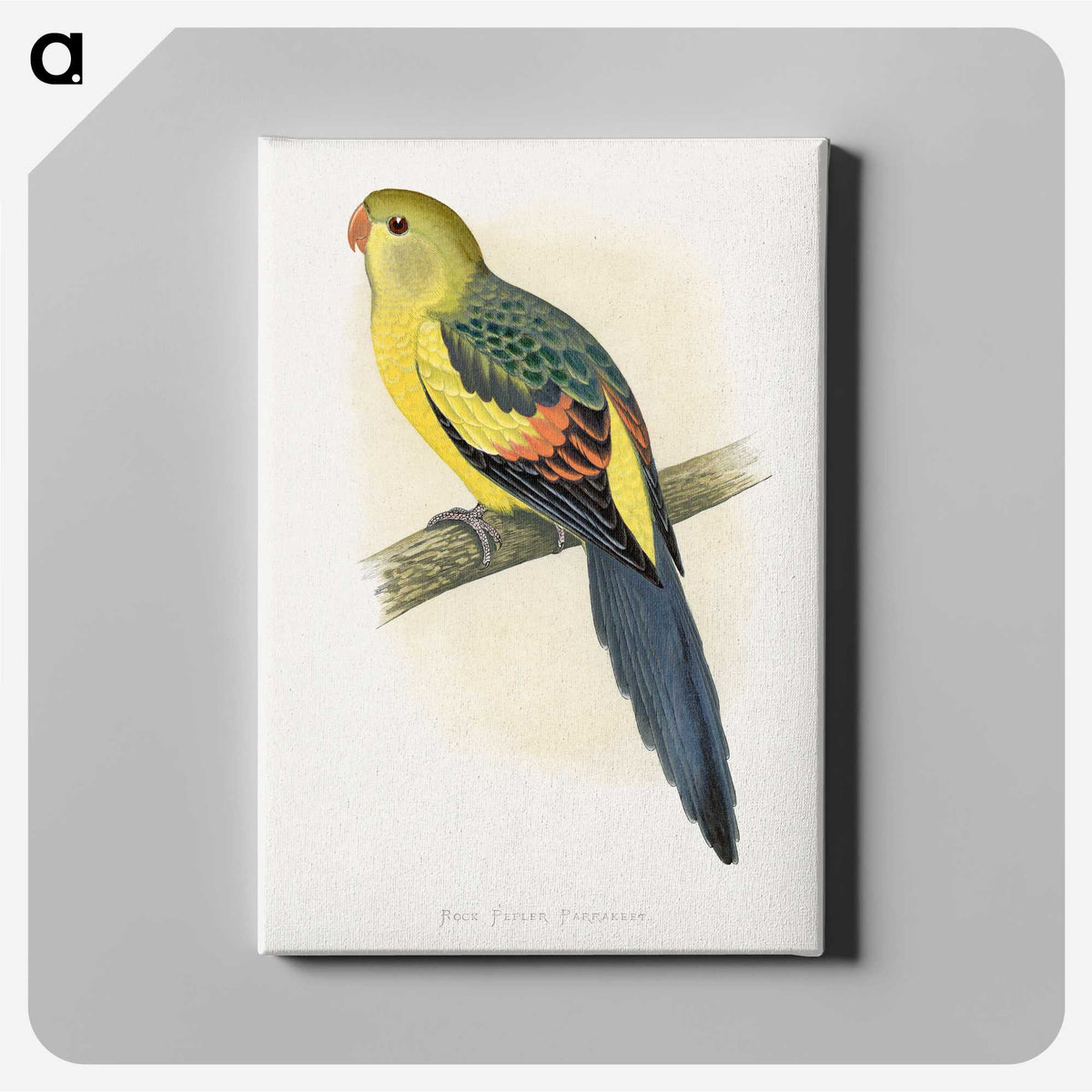 1-41_Parrots-in-Captivity_canvas