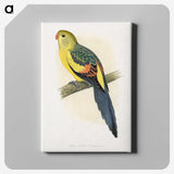 1-41_Parrots-in-Captivity_canvas