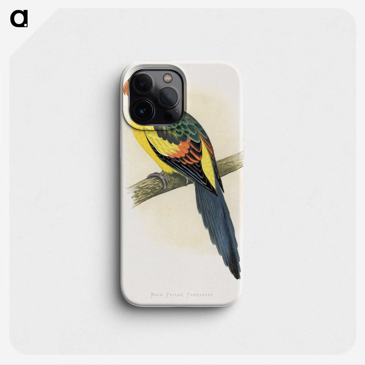1-41_Parrots-in-Captivity_phone