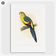 1-41_Parrots-in-Captivity_picture