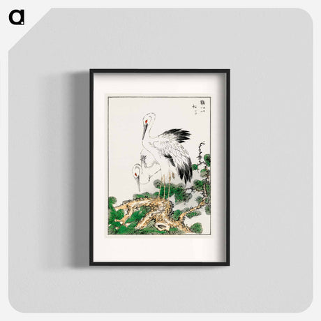 アートポスター-Stork and Pine Tree
 - 鳥類図鑑 Poster.
