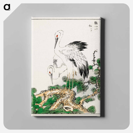 アートパネル-Stork and Pine Tree
 - 鳥類図鑑 Canvas.