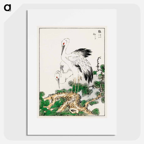アートポスター-Stork and Pine Tree
 - 鳥類図鑑 Poster.