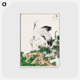 アートポストカード-Stork and Pine Tree
 - 鳥類図鑑 Postcard.