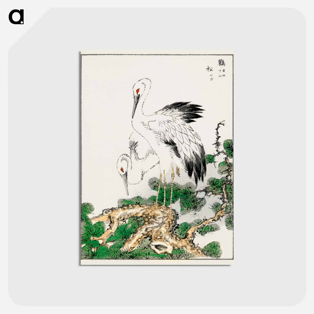アートポストカード-Stork and Pine Tree
 - 鳥類図鑑 Postcard.