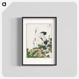 1-41_Pictorial-Monograph-of-Birds_blk