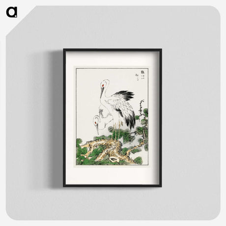 1-41_Pictorial-Monograph-of-Birds_blk
