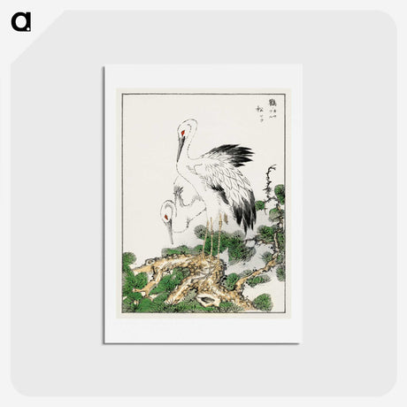 1-41_Pictorial-Monograph-of-Birds_hagaki
