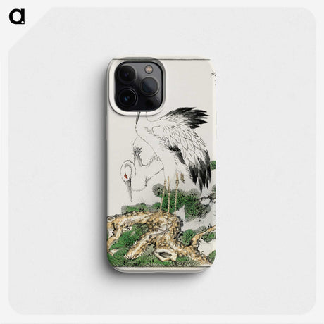 1-41_Pictorial-Monograph-of-Birds_phone
