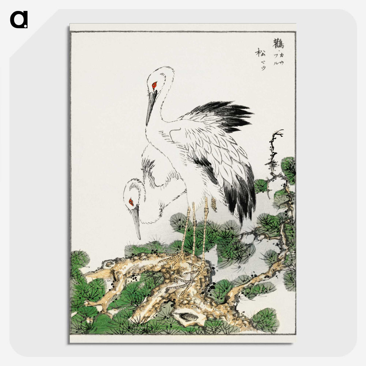 1-41_Pictorial-Monograph-of-Birds_picture-crop