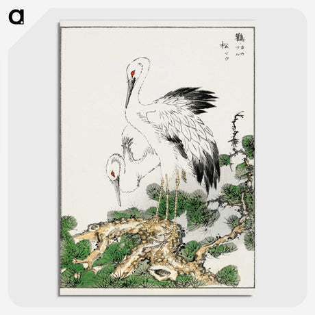 1-41_Pictorial-Monograph-of-Birds_picture-crop