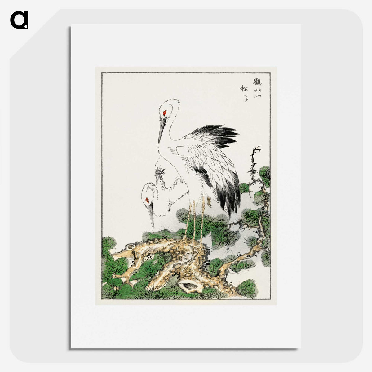 1-41_Pictorial-Monograph-of-Birds_picture