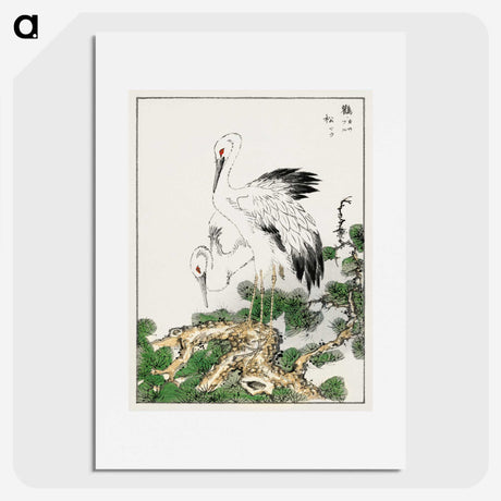 1-41_Pictorial-Monograph-of-Birds_picture