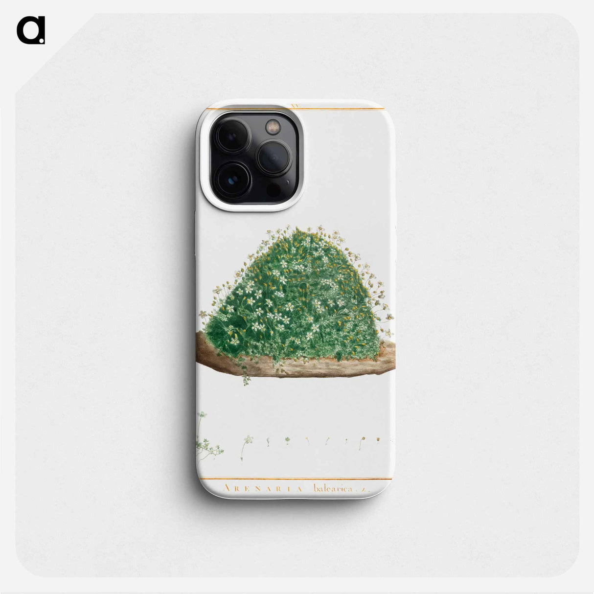 Arenaria Balearica - Pierre Joseph Redouté Phone Case.