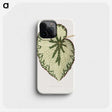 1-41_Plants-with-Colored-Foliage_phone