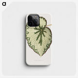 1-41_Plants-with-Colored-Foliage_phone