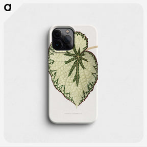 1-41_Plants-with-Colored-Foliage_phone