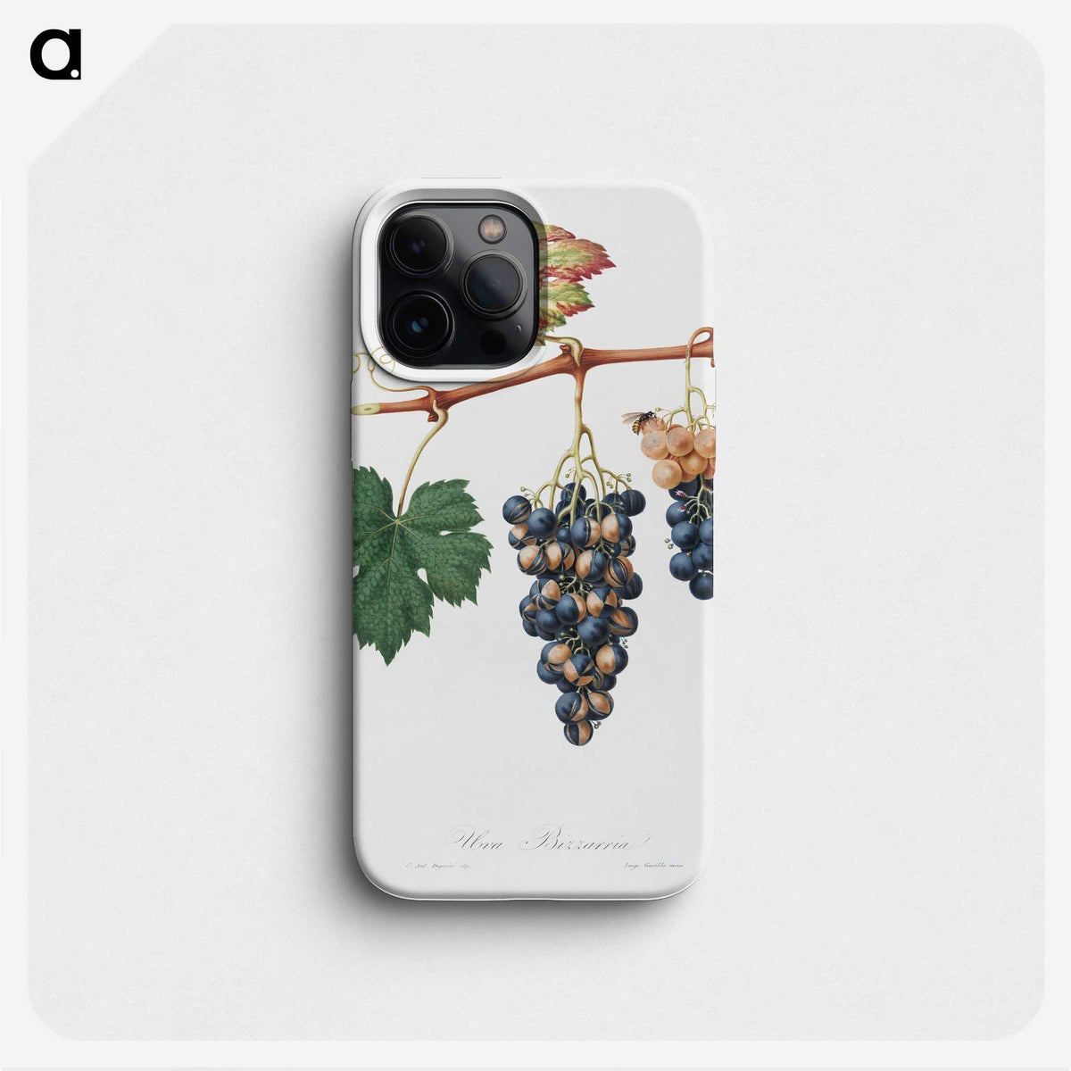 1-41_Pomona-Italiana_phone