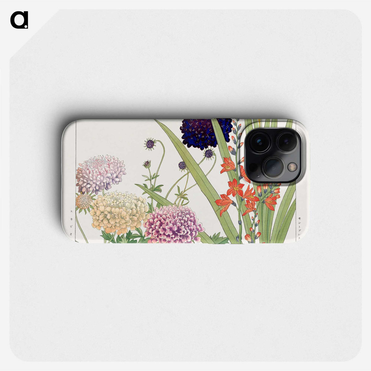 1-41_Seiyo-Soka-Zufu_phone