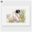 1-41_Seiyo-Soka-Zufu_picture
