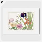 1-41_Seiyo-Soka-Zufu_picture