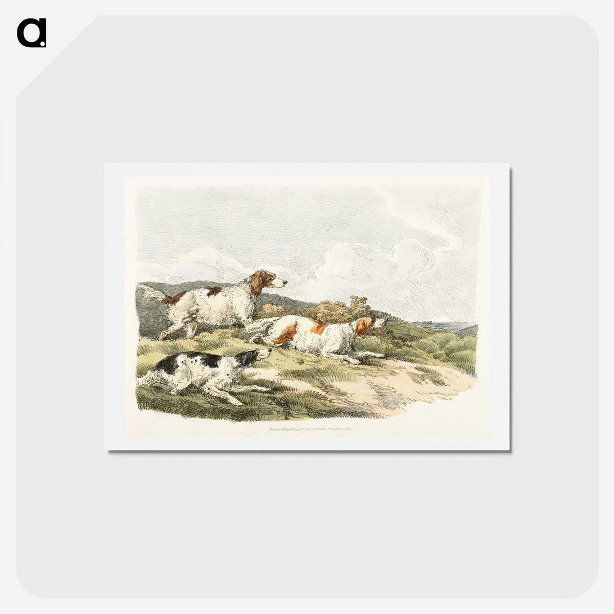 1-41_Sporting-Sketches_hagaki