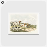1-41_Sporting-Sketches_hagaki