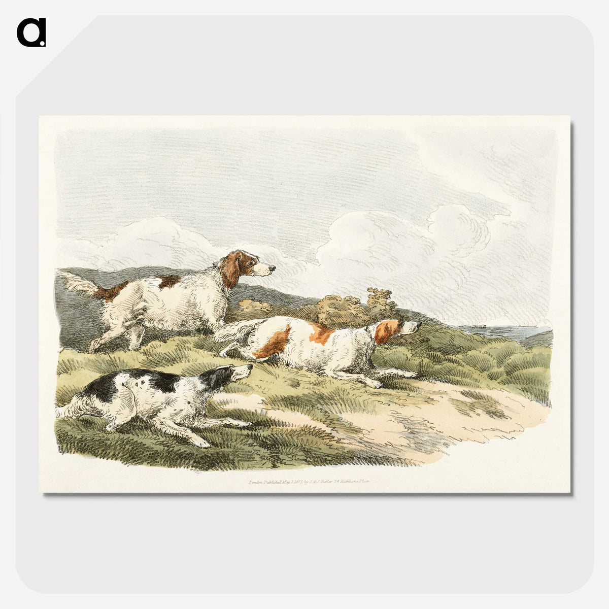 1-41_Sporting-Sketches_picture-crop