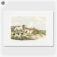 1-41_Sporting-Sketches_picture