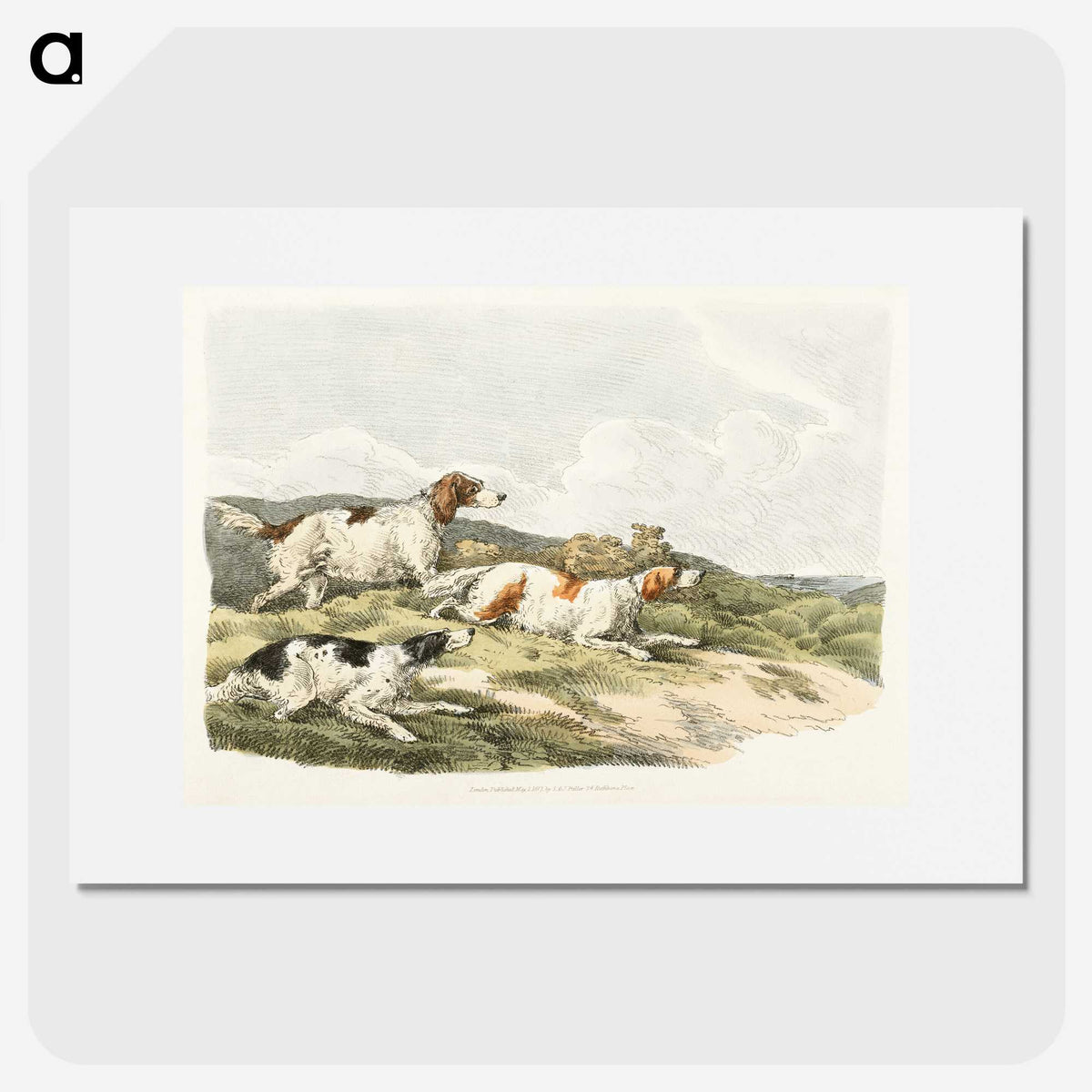 1-41_Sporting-Sketches_picture