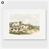 1-41_Sporting-Sketches_picture