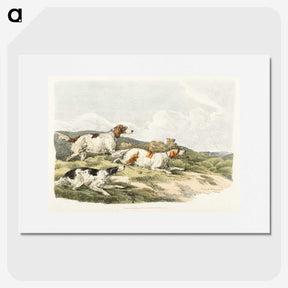 1-41_Sporting-Sketches_picture