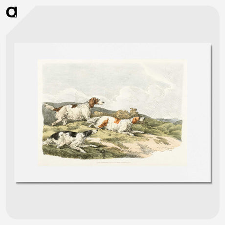 1-41_Sporting-Sketches_picture