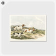 1-41_Sporting-Sketches_postcard